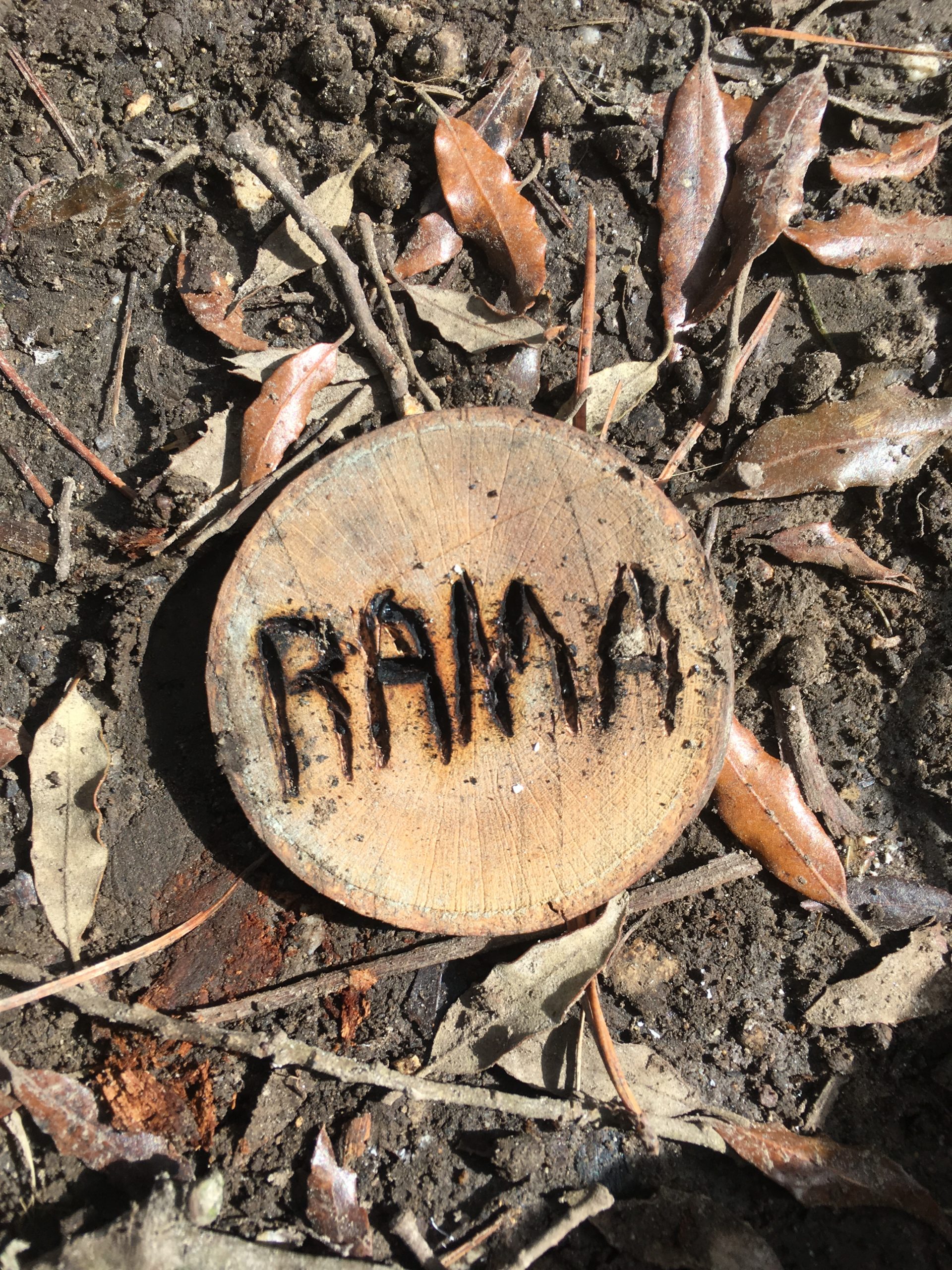 Rama - Wood Burning - Leaves - Autumn