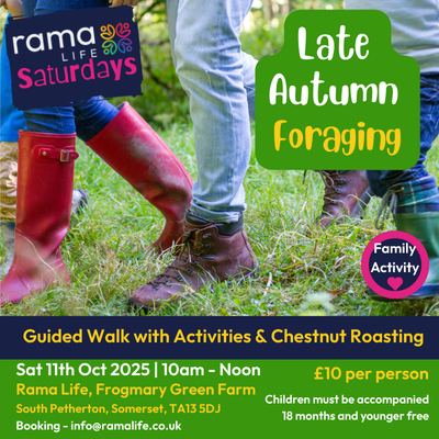 Family Foraging Activity Event in Somerset
