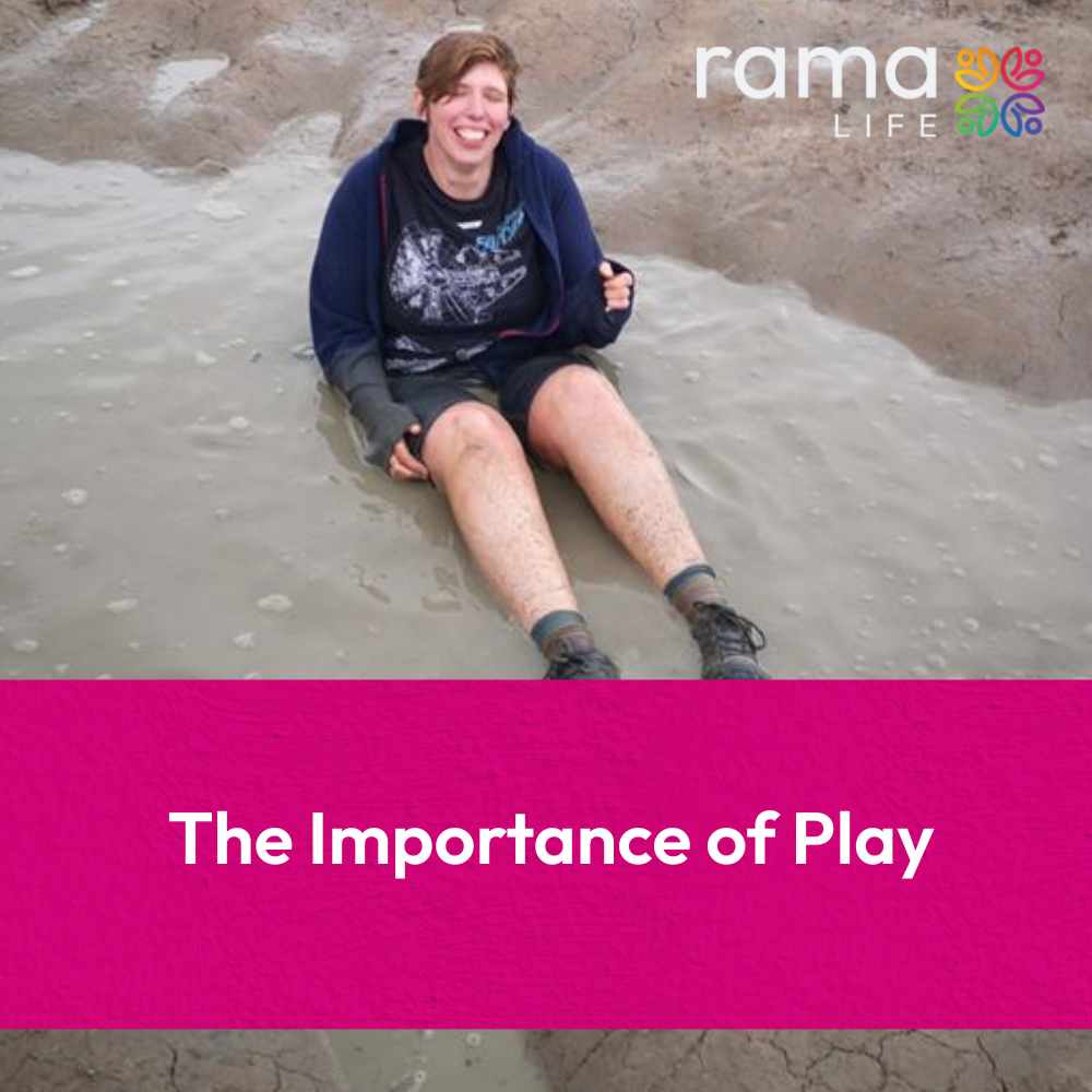 The importance of Play